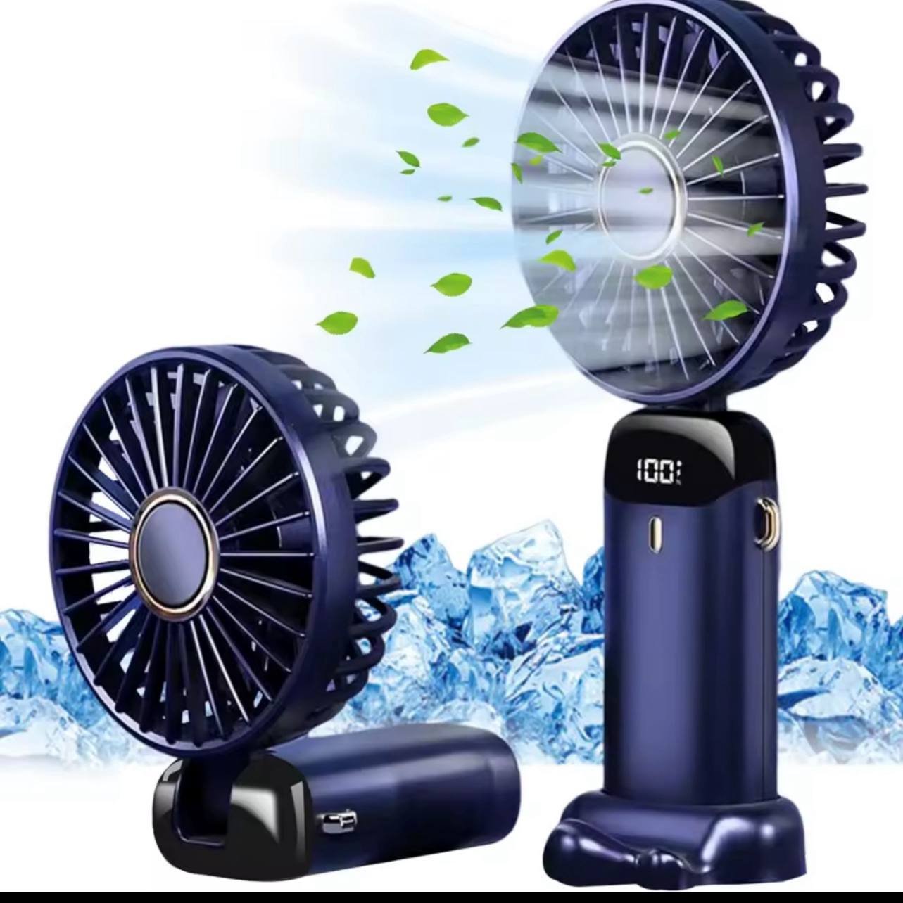 Organic Vegetable Box